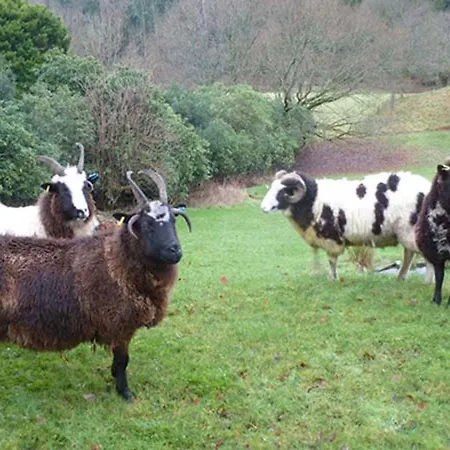 T'whit T'woo 度假居