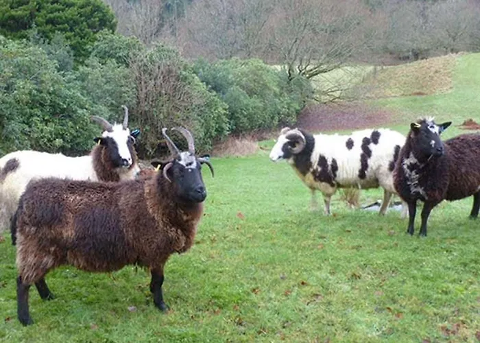 T'whit T'woo Casa de Férias